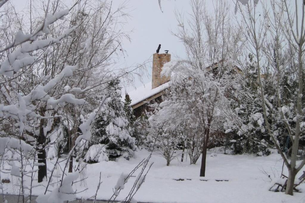 Casa En El Campo Con Encanto Almansa Exterior foto