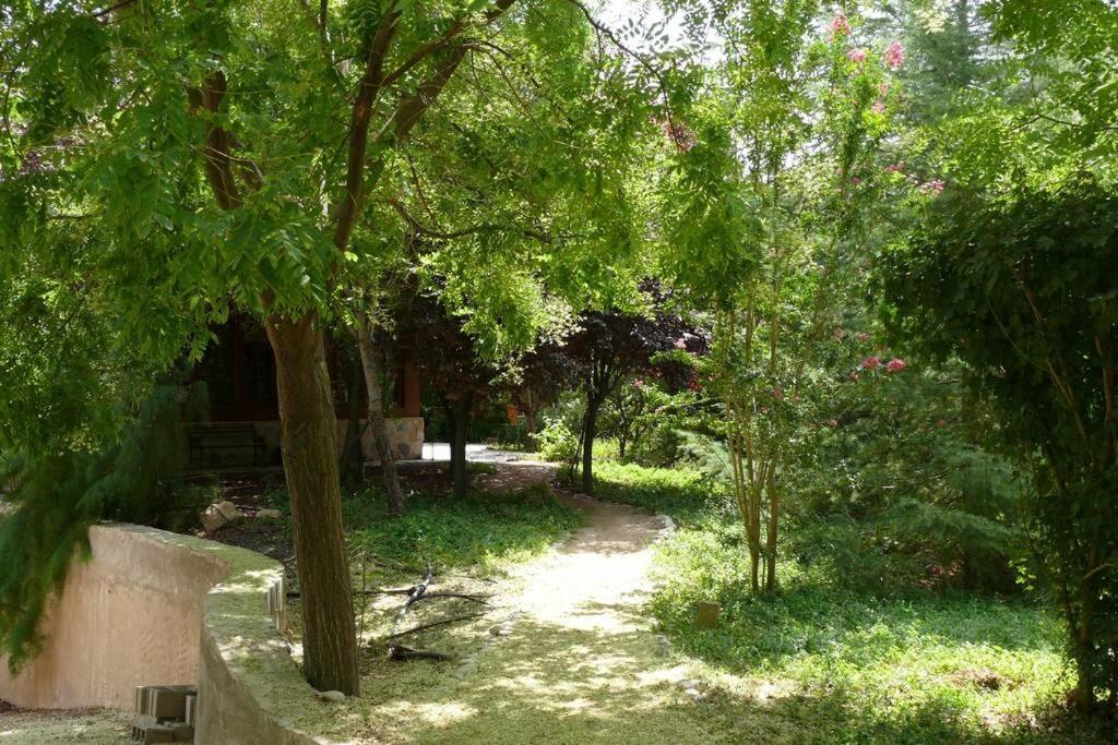 Casa En El Campo Con Encanto Almansa Exterior foto