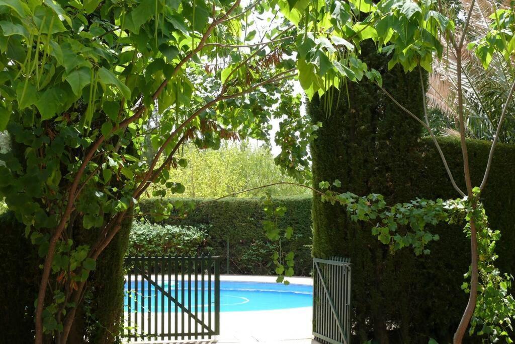 Casa En El Campo Con Encanto Almansa Exterior foto